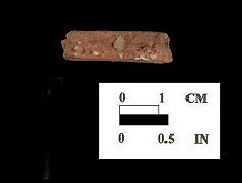Shenks Ferry cross-section view of paste from the Perry Point site I-5, 18CE256/2.